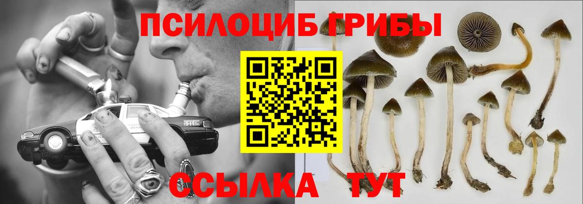 Галлюциногенные грибы Magic Shrooms Москва